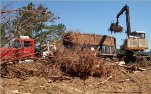 Disaster_Debris